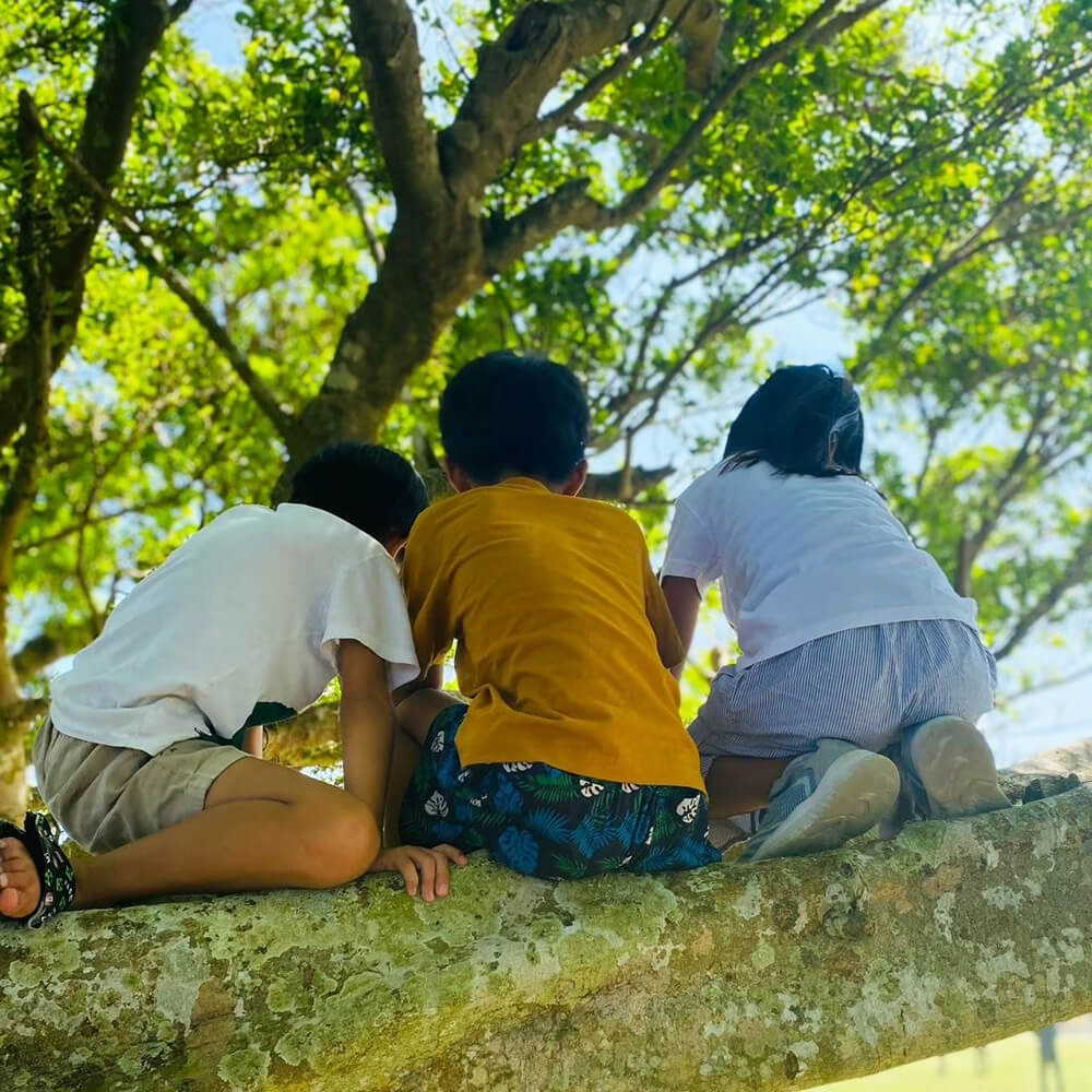 ニュースクールミライワライ