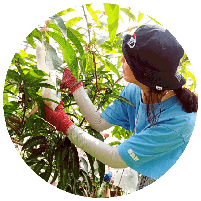 人が元気になる場所